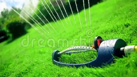 草坪洒水器在绿草上喷水收藏视频的预览图