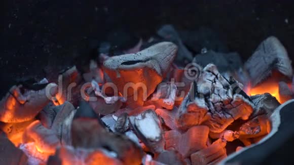 红色的热煤视频的预览图