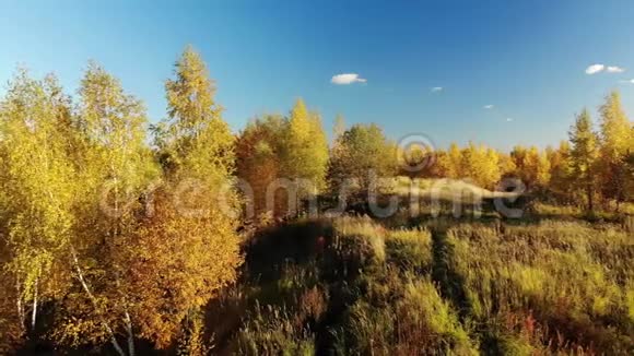 俄罗斯郊区的秋林视频的预览图