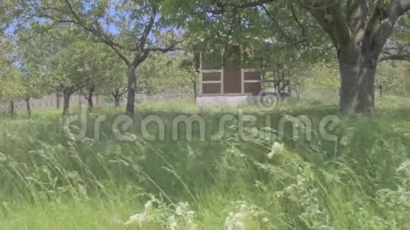 用花园棚观赏乡村花园4K视频电影视频的预览图