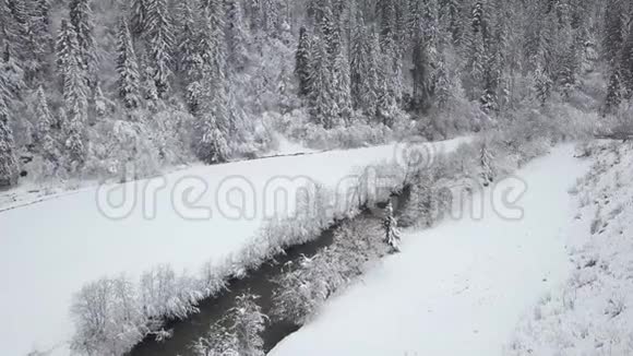 鸟瞰冬天的山河周围是树木和积雪的河岸视频的预览图