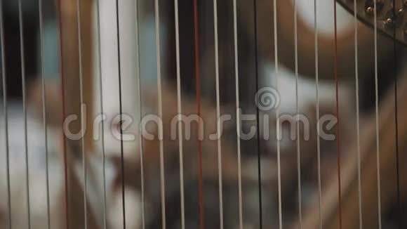 关闭竖琴弦音乐架和大提琴背景焦点拉力视频的预览图