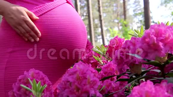 穿着礼服的孕妇在杜鹃花的自然背景下双手捧腹视频的预览图