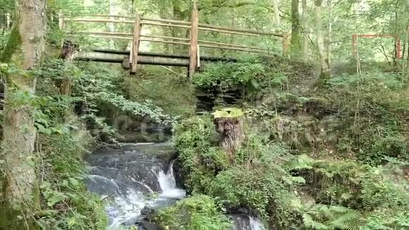 参观瀑布死亡劳斯奇在野生安德特溪旁边的科赫姆莫塞尔河德国视频的预览图