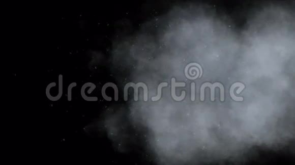 烟雾背景下飞行的蒲公英柳絮视频的预览图