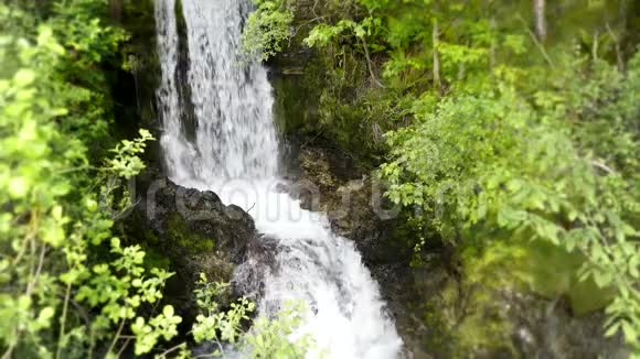 美丽的4k稳定的野生自然景观拍摄的小河瀑布在绿树山崖森林中奔跑视频的预览图