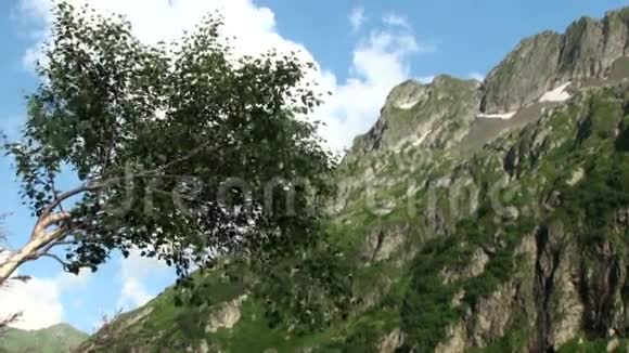 孤独的绿树在群山和蓝天的背景上全高清1920x1080视频的预览图