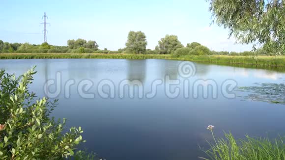 在阳光明媚的夏日湖上的风景视频的预览图