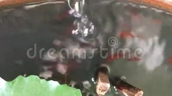 红色健康鱼玩气泡水视频的预览图