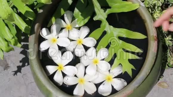 美丽的白花群装饰在水碗上视频的预览图