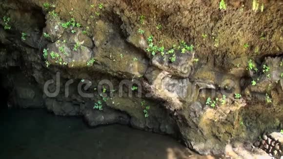 塔希提岛法属波利尼西亚的洞穴视频的预览图
