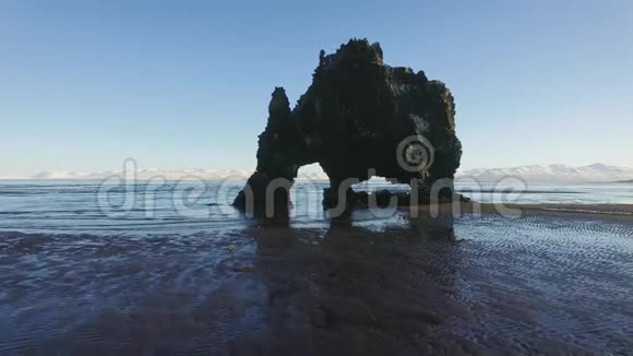 海中的猫鼬冰岛岩石视频的预览图