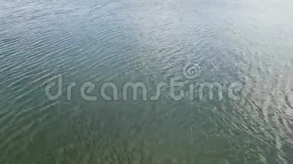 Penobscot湾的海水在微风中荡漾视频的预览图