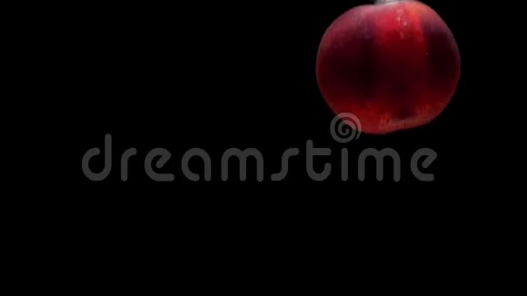 熟桃在黑色背景下落入透明水视频的预览图