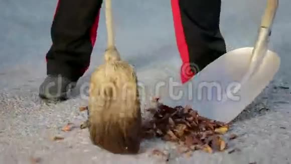 人把树叶扫到铲子上把它装进手推车里视频的预览图