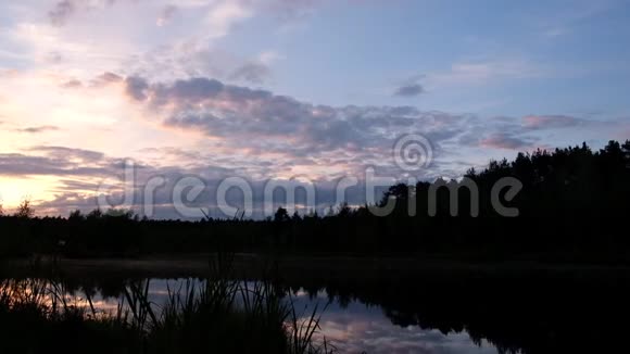 日落时森林湖风景如画莫斯科地区视频的预览图