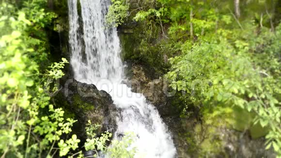 小河瀑布流绿树成荫山崖成林美丽的4k自然景观中拍摄视频的预览图