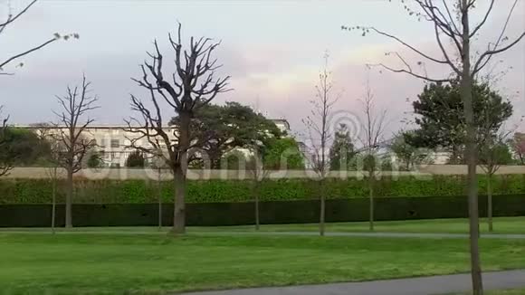 绿草成荫的城市人行道视频的预览图