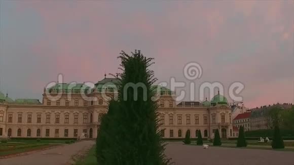 奥地利维也纳贝维德雷宫附近的观赏树视频的预览图