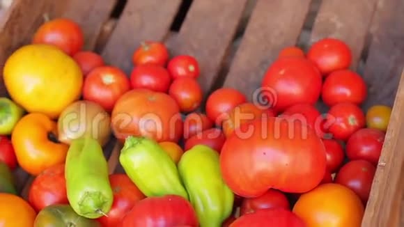 番茄和辣椒放在木箱里视频的预览图