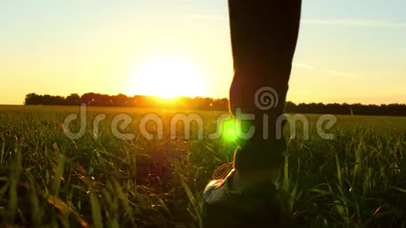 穿牛仔裤的女性在夕阳下的草坪上散步视频的预览图