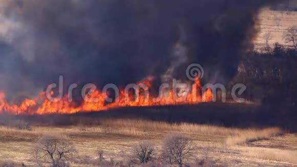 干草场上快速移动的火视频的预览图