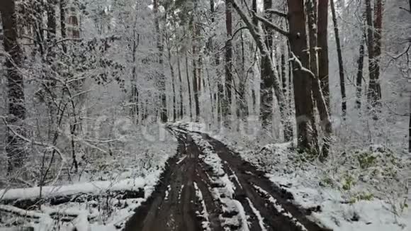 冬季森林中的道路景观视频的预览图