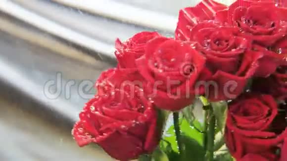 红玫瑰在雨中旋转视频的预览图