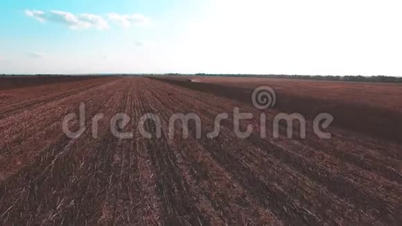 农业机械收割机和收割机在小麦或玉米地工作时的空中视野视频的预览图