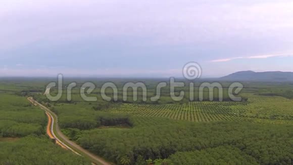 泰国丛林路和大种植园空中录像视频的预览图