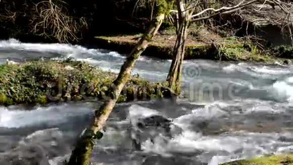 阿布哈兹有树木的山区河流和岛屿视频的预览图