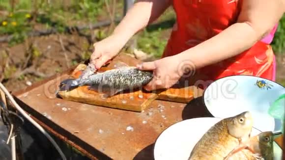 女人清洗新鲜的鱼视频的预览图
