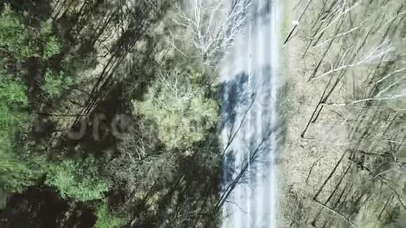 春天森林里的汽车路视频的预览图