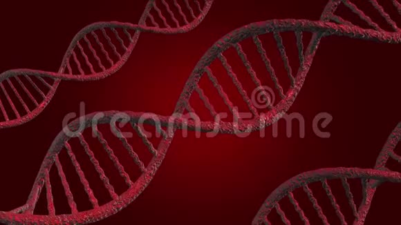 说明DNA或脱氧核糖核酸红色背景上的三维模型视频的预览图
