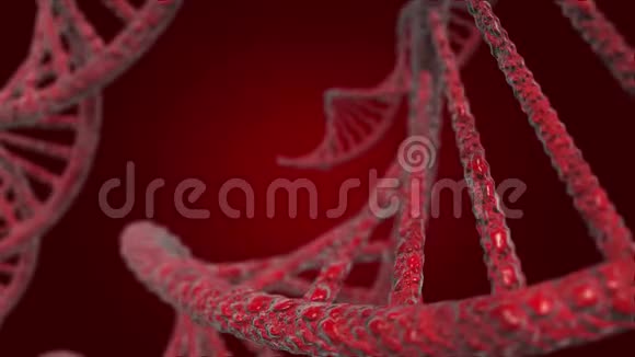 说明DNA或脱氧核糖核酸红色背景上的三维模型视频的预览图