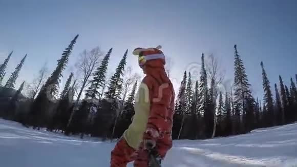 极端滑稽的滑雪者穿着一套老虎快速骑马穿过阳光明媚的山1920x1080视频的预览图
