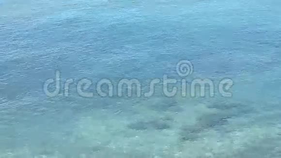 热带海滩的绿松石和水晶水视频的预览图