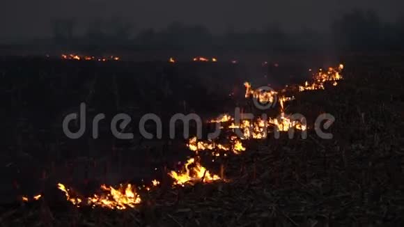 野火发生在田野上视频的预览图