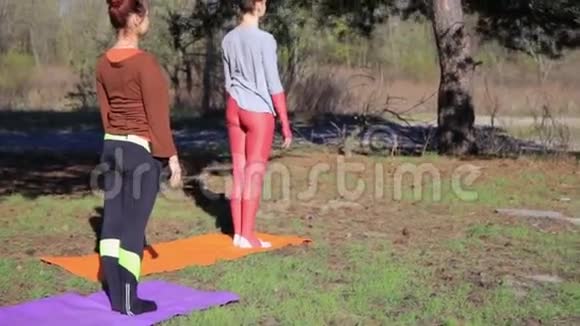 在森林公园锻炼瑜伽健身运动的女性配对视频的预览图