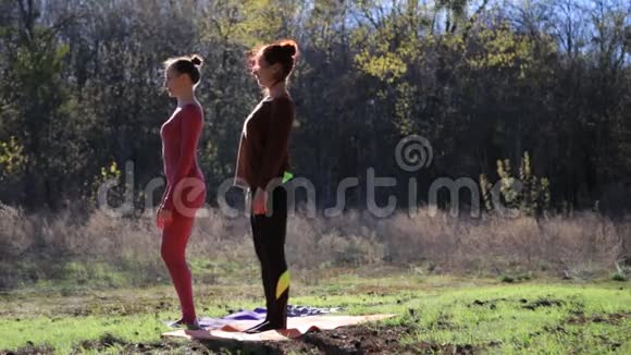 在森林公园锻炼瑜伽健身运动的女性配对视频的预览图