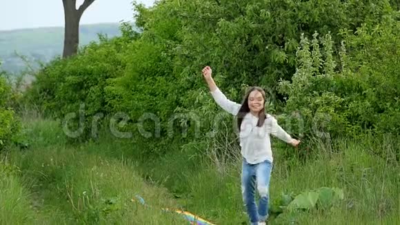 一个孩子带着风筝穿过草地视频的预览图