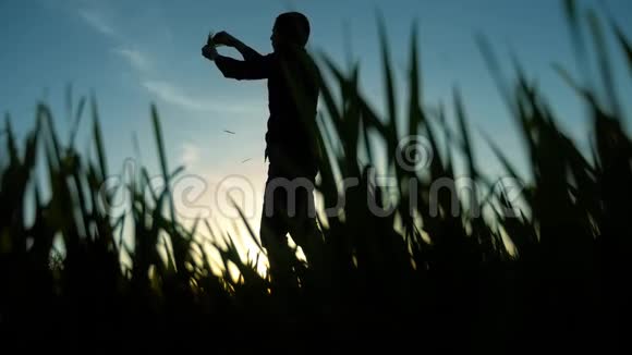 田里种草的农夫科学家在夕阳下探索农业概念生态视频的预览图