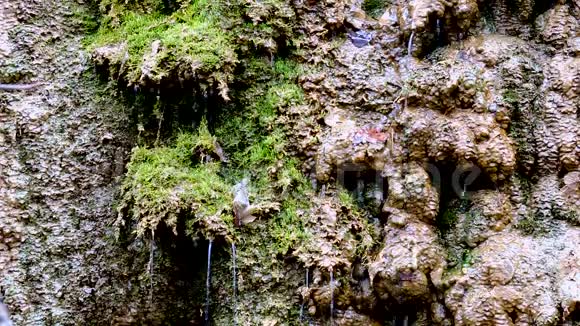 山瀑布小溪河流溪流流动的流水背景阳光下的水溅在石头上水滴在瓦片上视频的预览图