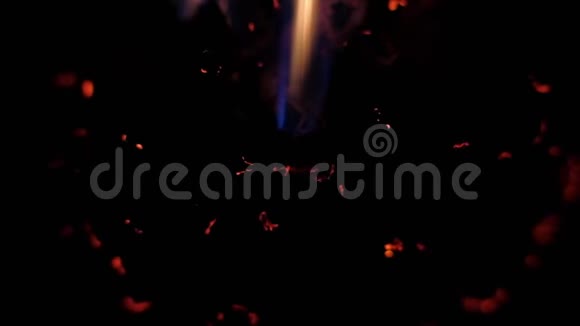 干花在黑色背景上燃烧视频的预览图