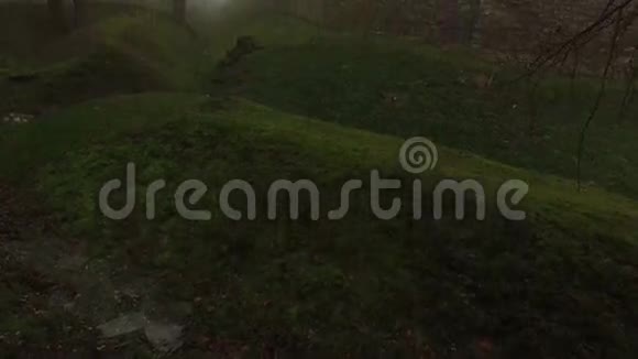 雾天古老的古堡墙和森林视频的预览图