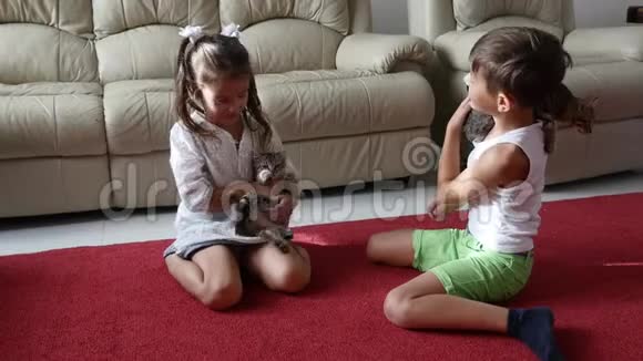 可爱可爱的小孩在玩小猫视频的预览图