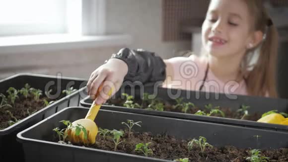 有趣的小园丁关心植物可爱的小女孩种树苗春观念自然与关怀视频的预览图