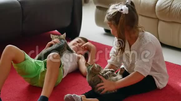 可爱可爱的小孩在玩小猫视频的预览图