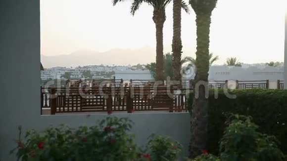 埃及沙姆沙伊赫美丽的日出城市景观视频的预览图