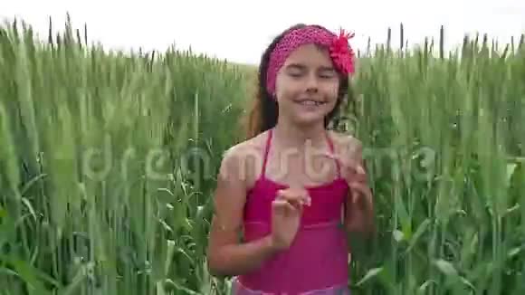 女孩的幸福少女带着小麦沿着绿色的田野奔跑夏日少年童年快乐视频的预览图